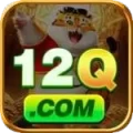12q Official v3.2.0