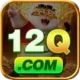 12q Official v3.2.0
